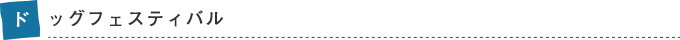 ドッグフェスティバル